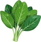 ほうれん草